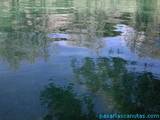 foto de reflejos en el agua del lago termal de termas Pallar�s, Alhama de Arag�n con tama�o de 160x120; ver distintas medidas disponibles a la derecha